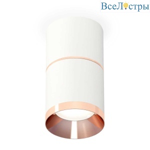 Комплект потолочного светильника Ambrella light Techno Spot XS (C7401, A2073, C7401, N7035) XS7401221