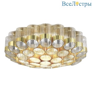Потолочная люстра ST Luce Accord SL1662.302.19