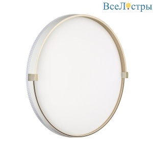 Настенно-потолочный светильник Sonex Pale Olidi White 7646/ELN