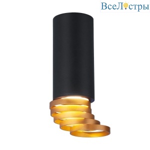 Потолочный светильник Elektrostandard DLN102 GU10 черный/золото 4690389148774
