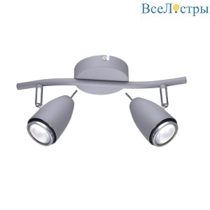Спот Arte Lamp Regista A1966AP-2GY
