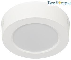 Накладной светильник Эра LED 19-12-6K Б0057448