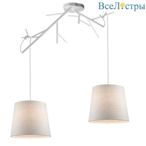 Подвесная люстра Simple Story 1137-2PL