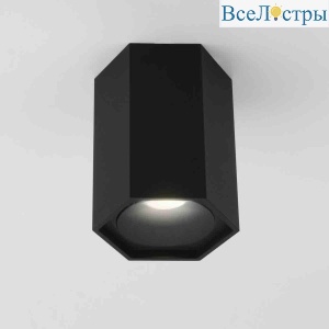 Накладной светильник Elektrostandard 25037/LED черный 4690389176517