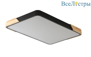 Потолочный светильник Zortes Alberro ZRS.01244.60