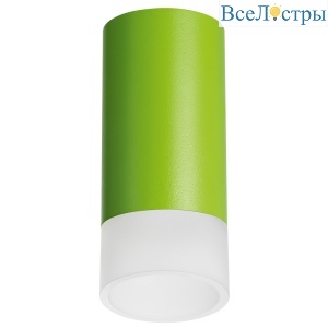 Накладной светильник Lightstar Rullo R43431 (214434+202431)