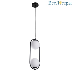 Подвесной светильник Arte Lamp Matisse A7745SP-2BK