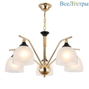 Подвесная люстра Escada Actinidia 2123/5P