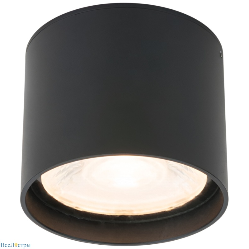 уличный потолочный светильник elektrostandard light led 4690389176975