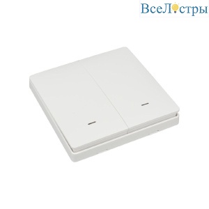Выключатель двухклавишный Aployt Magnetic track 220 APL.0190.00.02