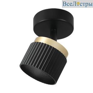 Накладной спот WOLTA Muse WSL-GX53/19BG-2
