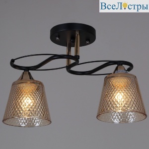 Потолочный светильник Reluce 06087-0.3-02 BK+FG