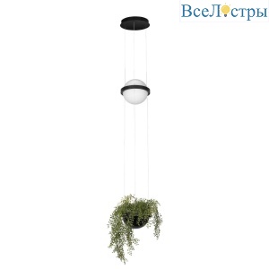 Подвесной светильник Loft IT Jardin 10121/B