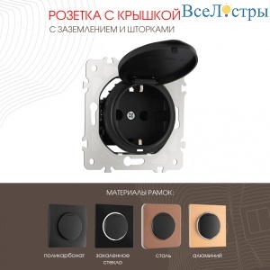 Розетка с заземлением, шторками и защитной крышкой Arte Milano 202.41-1.black