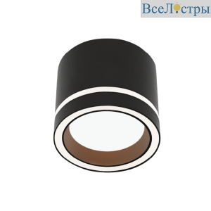 Накладной светильник Wolta Luce WSL-GX53/06BL