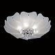 потолочный светильник lightstar lobo 804020