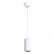подвесной светильник arte lamp canopus a1516sp-1wh