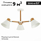 потолочная люстра evoluce buve sle103702-03