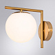 бра arte lamp bolla-unica a1924ap-1ab