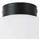 потолочный светильник lightstar globo 812037