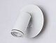 спот ambrella light wall fw2462
