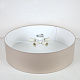 потолочный светильник lighthall camerona 65 lh022006