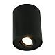 потолочный светильник arte lamp a5644pl-1bk