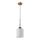 подвесной светильник st luce веритас sl1404.303.01