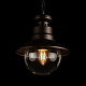 уличный подвесной светильник loft it piemonte 100022p