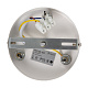 подвесной светильник freya tint fr5179pl-06w