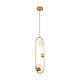 подвесной светильник freya planetary fr6081pl-l10g