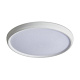 потолочный светильник freya obelle fr6211cl-l24w