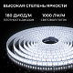 светодиодная лента apeyron 24в, 12 вт/м, 1000 лм/м, 6500к, smd2835, 180 д/м, ip65, 5м 00-449