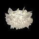 потолочный светильник loft it clizia 10594/530c white