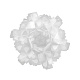 подвесной светильник loft it clizia 10595/530 white