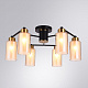 потолочная люстра arte lamp leo a7027pl-6bk