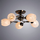 потолочная люстра arte lamp arya a2941pl-5ab