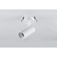 встраиваемый спот iledex technical plum 100 white